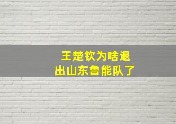 王楚钦为啥退出山东鲁能队了