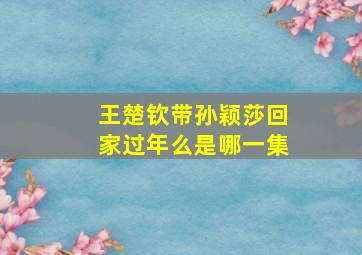 王楚钦带孙颖莎回家过年么是哪一集