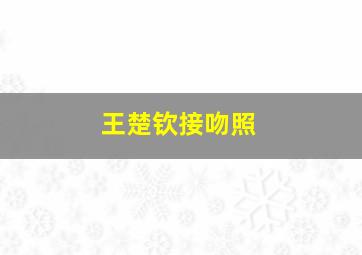 王楚钦接吻照