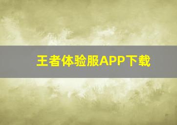 王者体验服APP下载