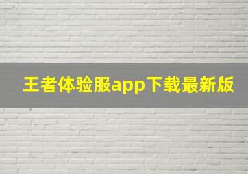 王者体验服app下载最新版