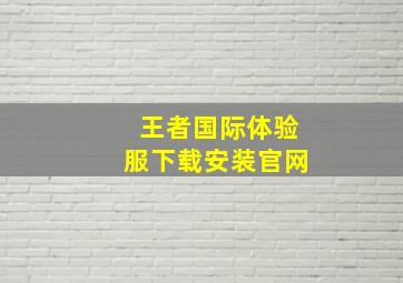 王者国际体验服下载安装官网