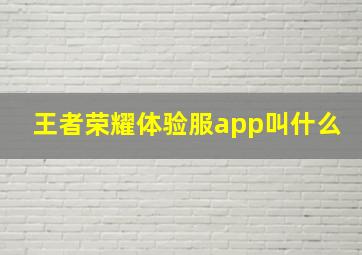 王者荣耀体验服app叫什么