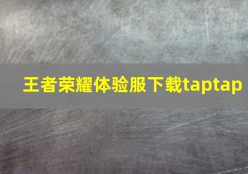 王者荣耀体验服下载taptap