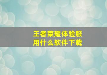 王者荣耀体验服用什么软件下载