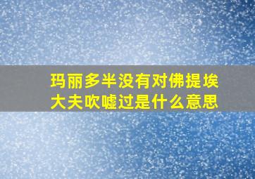 玛丽多半没有对佛提埃大夫吹嘘过是什么意思