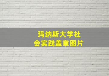 玛纳斯大学社会实践盖章图片