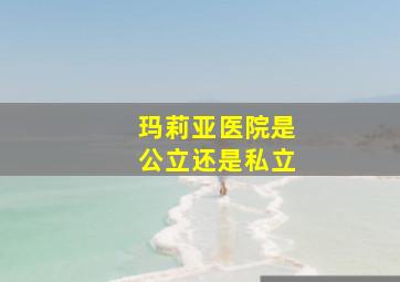 玛莉亚医院是公立还是私立