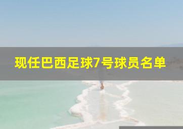 现任巴西足球7号球员名单