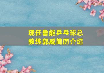 现任鲁能乒乓球总教练郭威简历介绍