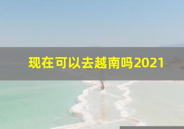 现在可以去越南吗2021