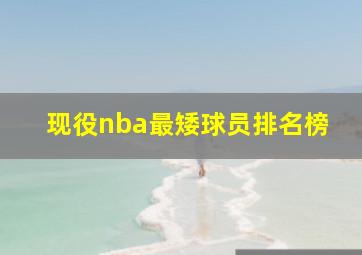 现役nba最矮球员排名榜