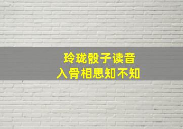 玲珑骰子读音入骨相思知不知