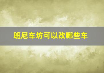 班尼车坊可以改哪些车