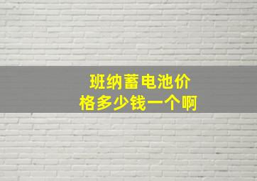 班纳蓄电池价格多少钱一个啊