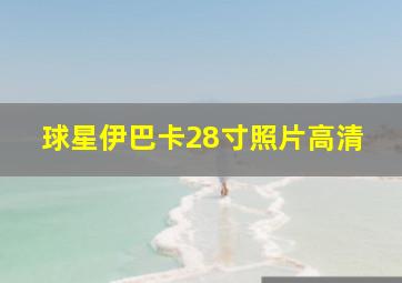 球星伊巴卡28寸照片高清