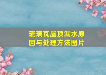 琉璃瓦屋顶漏水原因与处理方法图片