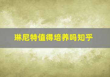 琳尼特值得培养吗知乎