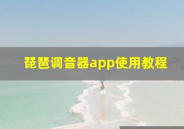 琵琶调音器app使用教程