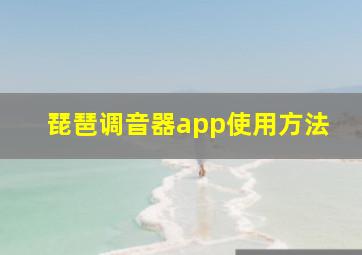 琵琶调音器app使用方法