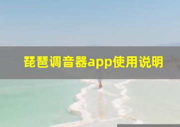 琵琶调音器app使用说明