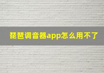 琵琶调音器app怎么用不了