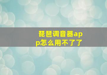 琵琶调音器app怎么用不了了