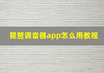 琵琶调音器app怎么用教程