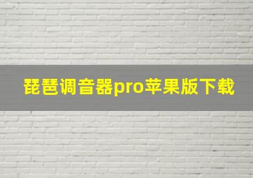 琵琶调音器pro苹果版下载