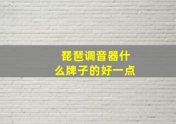 琵琶调音器什么牌子的好一点