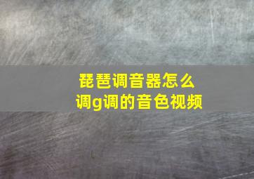 琵琶调音器怎么调g调的音色视频