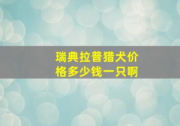 瑞典拉普猎犬价格多少钱一只啊