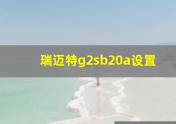 瑞迈特g2sb20a设置