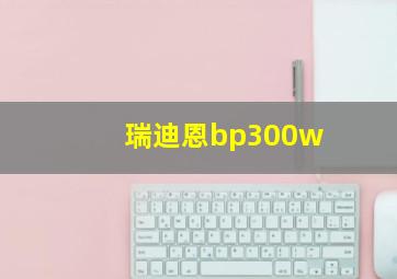 瑞迪恩bp300w