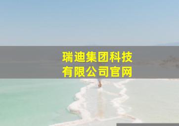 瑞迪集团科技有限公司官网