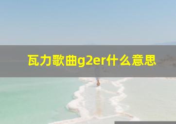 瓦力歌曲g2er什么意思