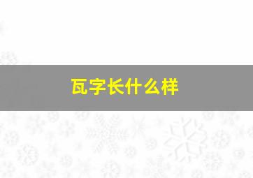 瓦字长什么样