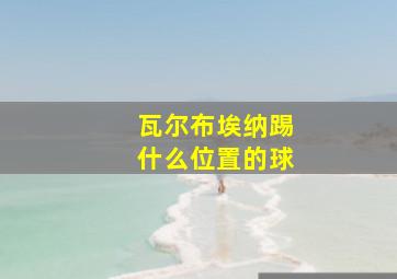 瓦尔布埃纳踢什么位置的球