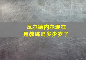 瓦尔德内尔现在是教练吗多少岁了