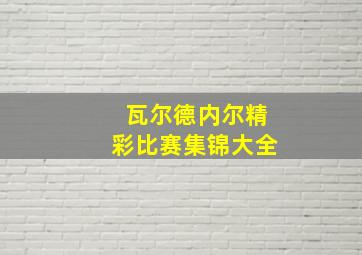 瓦尔德内尔精彩比赛集锦大全