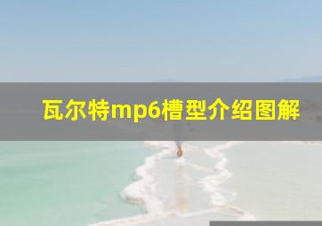 瓦尔特mp6槽型介绍图解