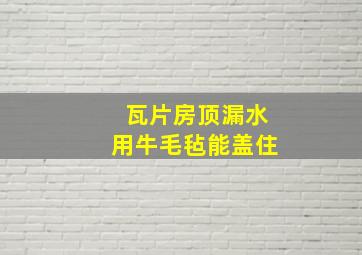 瓦片房顶漏水用牛毛毡能盖住