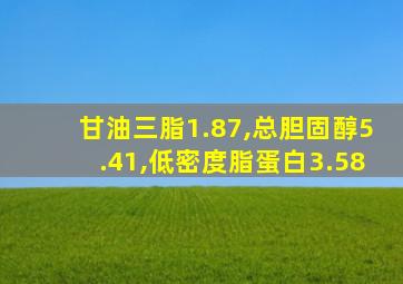 甘油三脂1.87,总胆固醇5.41,低密度脂蛋白3.58