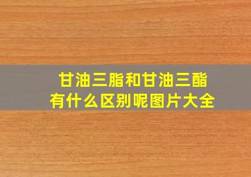 甘油三脂和甘油三酯有什么区别呢图片大全