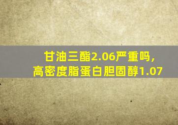 甘油三酯2.06严重吗,高密度脂蛋白胆固醇1.07