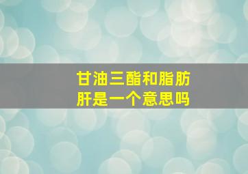 甘油三酯和脂肪肝是一个意思吗