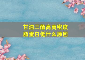 甘油三酯高高密度脂蛋白低什么原因