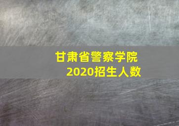 甘肃省警察学院2020招生人数