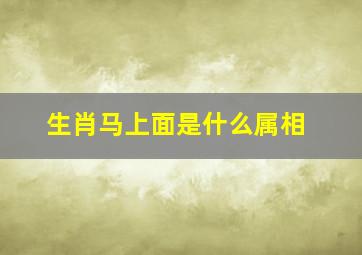 生肖马上面是什么属相