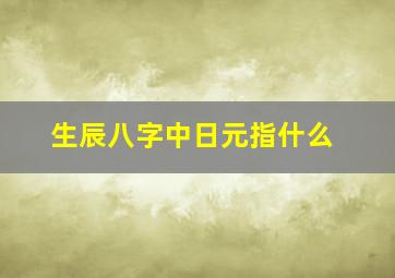 生辰八字中日元指什么